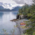 Prince William Sound. (0072)
