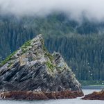 Prince William Sound (0219)