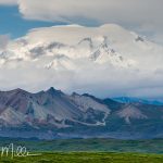 Within Denali National Park. (0568)