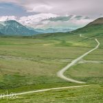Denali National Park. (0571)