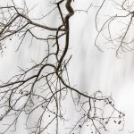 (3016) Burgess Falls State Park