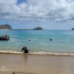 Some had never snorkeled before, and as former dive instructors, Sandy and I assisted beginners.