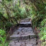 Modern Stone Path Modern Stone Path
