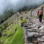 Inca Path & Terraces Inca Path & Terraces