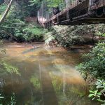 Cross the bridge for the  Short Loop trail. (5576)