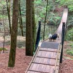 Pioneed Short Loop Trail.  (5496)