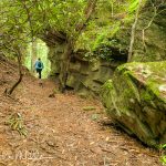 On the Pioneer Long Loop Trail.  (5486)