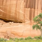 Ancestral Puebloans, also known as the Anasazi, lived here between AD 1050 and 1300.  (9274)