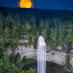 Alternate reality. (6187)