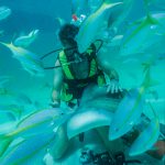 Sometimes you have to put the camera down and just experience it. Grand Cayman (1990)