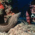 Sandy likes eels!  Cozumel, Mexico  (1997)