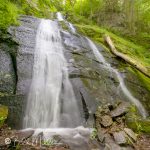 About 2 miles from Porters Creek Trailhead, and a good place to turnaround. (4285)