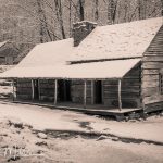 Along Roaring Fork Motor Nature Trail (0153)