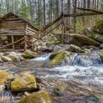 Along Roaring Fork Motor Nature Trail (4979)