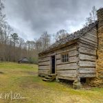 Along Roaring Fork Motor Nature Trail (5089)
