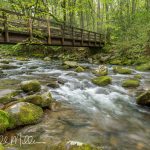 Kephart Trailhead (2557)