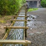 Off of Hiway 441. (2577)