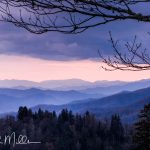 Newfound Gap (3606)