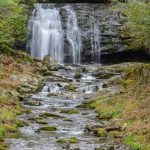 Along Little River Gorge Rd, Lr Pullout Parking @ Mp 7.12. (5199)