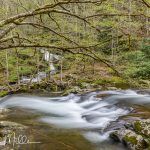 Upper Tremont Rd. Runoff from Spruce Flats Falls across the river. (5268)