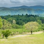 Cades Cove (4003)