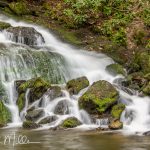 Deep Creek Area, North Carolina. (3436)