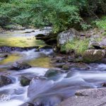 Deep Creek Area, North Carolina (3455)