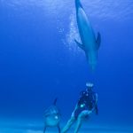 Roatán Island, Honduras (1995)
