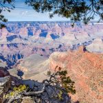 Grand Canyon (7293)