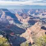 Grand Canyon  (7309)