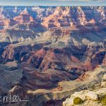 Grand Canyon  (7321)