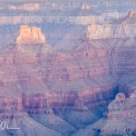 Grand Canyon  (7509)