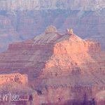 Grand Canyon  (9514)