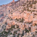 South Rim of the Grand Canyon  (7527)