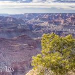 Grand Canyon  (7314)