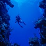 Natural light — no strobe.  A strobe would not have been effective anyway as subject is too far away.  Camera is pointed towards the surface giving a gradient of light to dark blues.   Little Cayman Island. (1994)