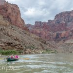 Western river dories have extensive built-in buoyancy/storage areas with water-resistant hatches to shed water and keep the boat afloat, strong rowlocks, long oars, and long blade oars to operate in rapids. Day 3. (9758)