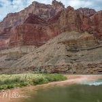 From this point on and for the remainder of the trip, and at this time of year, the Colorado River appeared muddy. But it's not. The coloration is due to the red rock grit in the water. Day 3, Mile 62 (9773)