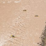 Day 3, Mile 71½. (9824)