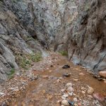 It was an easy walk in/out of the creek. Day 4, Mile 84½. (9841)