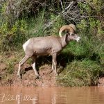 Day 6, Unknown mile. (00740