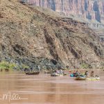 Sean Flaherty's private group. We will see this group again . . . shortly. Day 6, about Mile 131½ (0083)