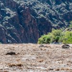 Now waiting at our lunch spot for Sean and his rafters to navigate the rapids. They staged their rafts behind the point. Day 6, Mile 132. (0089)