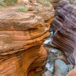 Day 7, Mile 137 (0209)