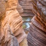 Day 7, Mile 137 (0264)