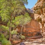 At the end of the slot canyon. A good place to relax and snooze in the shade for awhile. Day 7, Mile 137 (0250)