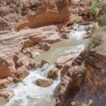 To gain access, the captain had to land after the rapids at the mouth of the creek, requiring us to scramble up the rocks and take the high road. Day 8, Mile 157 (0339)