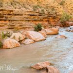 The high canyon trail soon descended to the creek. Day 8, Mile 157 (0298)