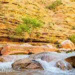 Day 8, Mile 157 (0299)