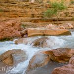 Day 8, Mile 157 (0301)